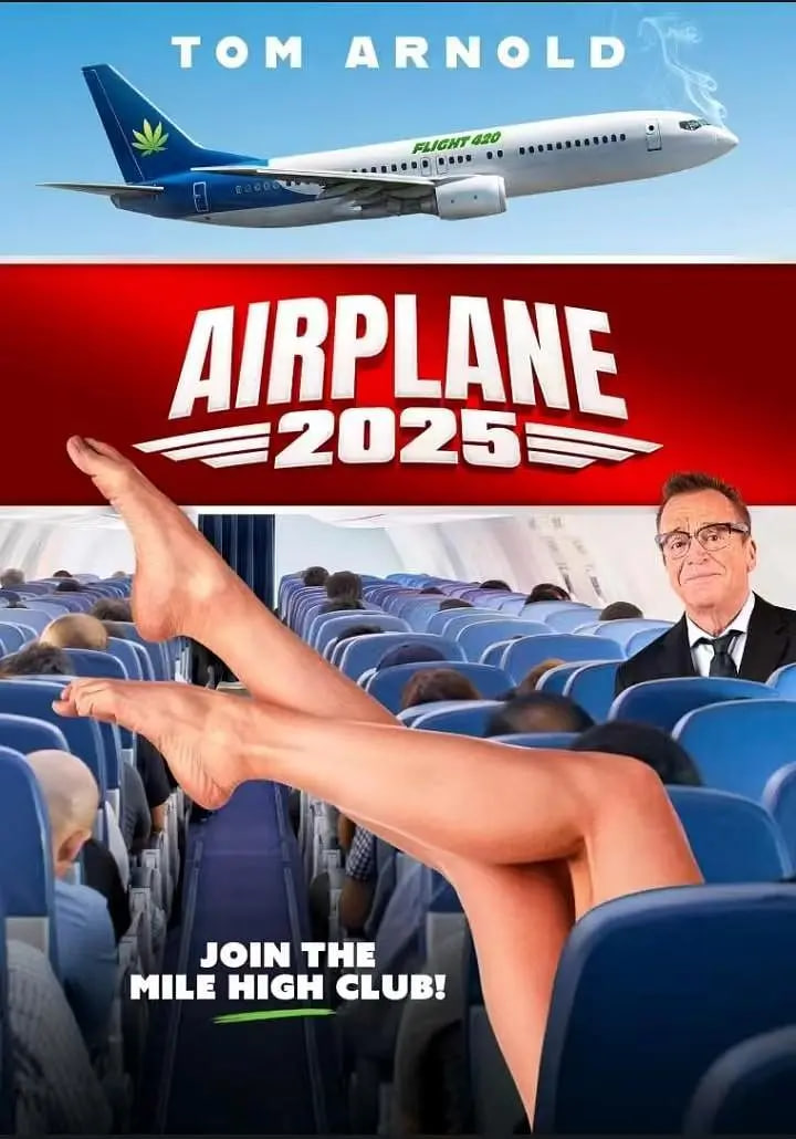飞机 2025_故事结构_承允影戏-80s网网